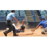 Michael O'Neill of the Tampa Yankees