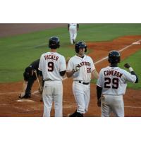 Connor Goedert of the Greeneville Astros Congratulated at the Plate