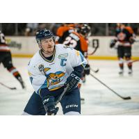 Toledo Walleye Defenseman Jared Nightingale