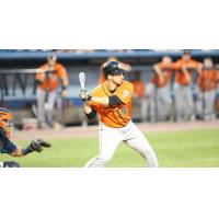 Dan Lyons of the Long Island Ducks