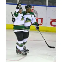 Mississippi RiverKings in Action