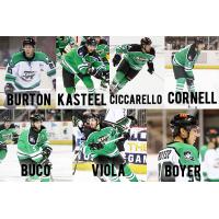 Seven Returning Louisiana IceGators