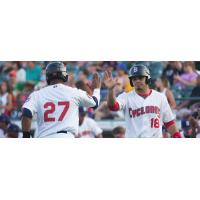 Brooklyn Cyclones Exchange High Fives