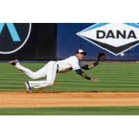 Toledo Mud Hens Shortstop Dixon Machado
