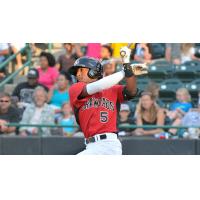 Travis Demeritte with the Hickory Crawdads