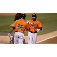 Fehlandt Lentini Greets Elmer Reyes at the Plate for the Long Island Ducks