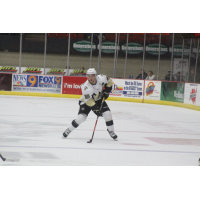 Wheeling Nailers Forward Zack Torquato