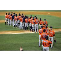 Greeneville Astros Celebrate Playoff Win