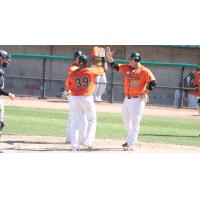 Long Island Ducks Celebrate Home Run