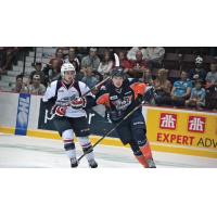 Flint Firebirds vs. Windsor Spitfires