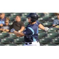 A.J. Reed of the Corpus Christi Hooks