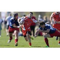 Men's Elite Rugby 7s