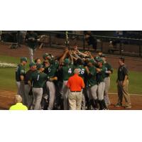 Daytona Tortugas Celebrate Playoff Victory