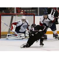 Tri-City Americans vs. Red Deer Rebels