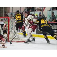 Luke Davison of the Minot Minotauros