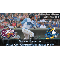 Victor Caratini of the Myrtle Beach Pelicans