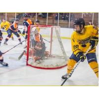 Springfield Jr. Blues in Action