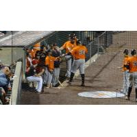 Long Island Ducks Celebrate Randy Ruiz Home Run