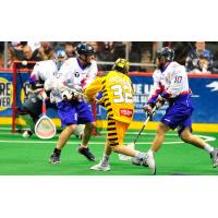 Georgia Swarm Forward Shayne Jackson