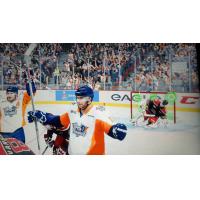 Flint Firebirds in EA Sports NHL 16 this Year
