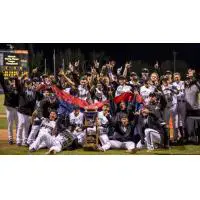 Missoula Osprey Celebrate Pioneer League Championship
