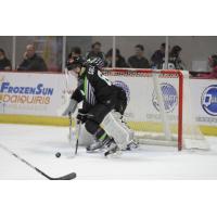Louisiana IceGators Defenseman Casey Goll