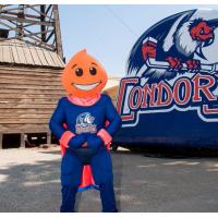 Bakersfield Condors New Mascot
