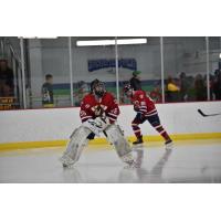 Johnstown Tomahawks Goaltender Nick DeSimone