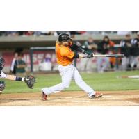 Cody Puckett of the Long Island Ducks