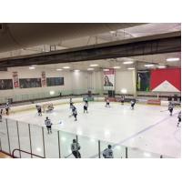 Lone Star Brahmas vs. Johnstown Tomahawks