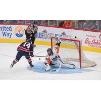 Flint Firebirds Goaltender Zack Bowman