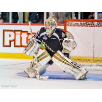 Charlottetown Islanders Goaltender Daryl MacCallum