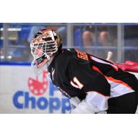 Lehigh Valley Phantoms vs. Wilkes-Barre/Scranton Penguins