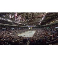 Cincinnati Cyclones Home Ice