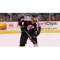 Cincinnati Cyclones in Action
