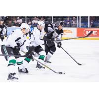 Texas Stars vs. San Antonio Rampage