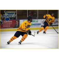 Springfield Jr Blues in Action