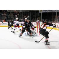 Lehigh Valley Phantoms vs. Hartford Wolf Pack