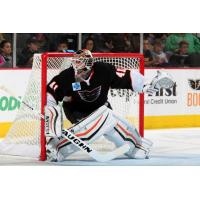 Lehigh Valley Phantoms vs. Hartford Wolf Pack