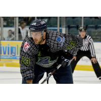 Florida Everblades Forward Brant Harris