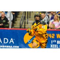 Georgia Swarm Transition Player Jason Noble