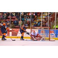 Flint Firebirds vs. Soo Greyhounds