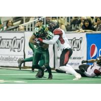 San Jose SaberCats Wide Receiver Diondre Borel