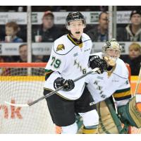 Defenceman Tyler Nother with the London Knights
