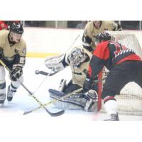 Wheeling Nailers vs. Cincinnati Cyclones in Preseason Play