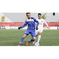 FC Edmonton in Action
