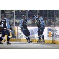 Chicago Wolves vs. Milwaukee Admirals