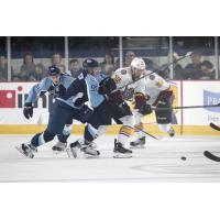 Chicago Wolves vs. Milwaukee Admirals