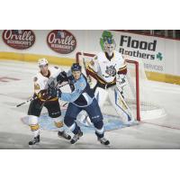 Chicago Wolves vs. Milwaukee Admirals