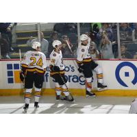 Chicago Wolves vs. Milwaukee Admirals
